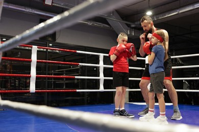 Photo of Children practicing fight on boxing ring under their coach supervision. Space for text