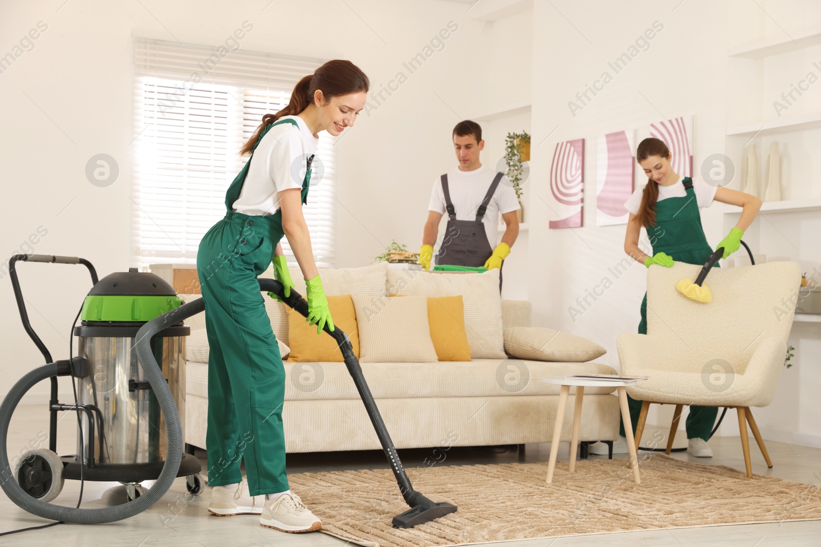 Photo of Professional cleaning service team working in room