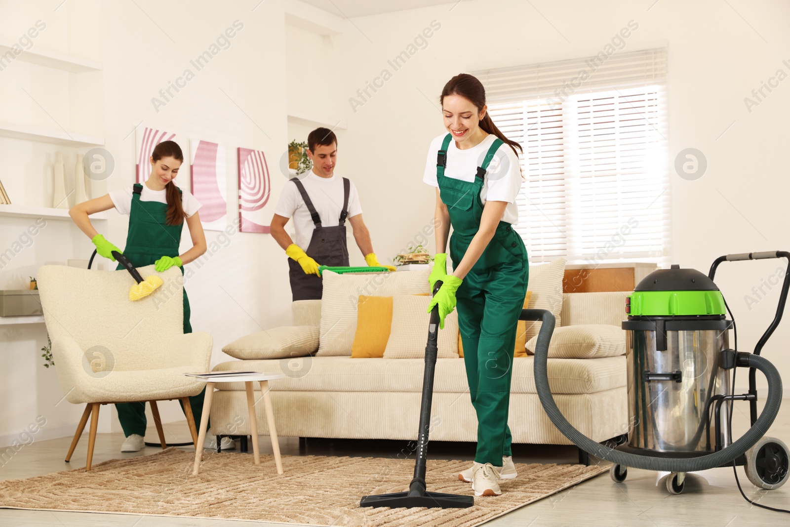 Photo of Professional cleaning service team working in room