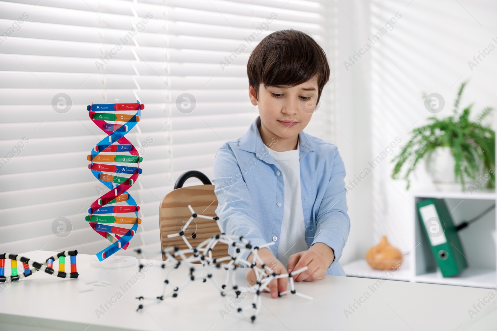 Photo of Boy making DNA structure model at desk indoors