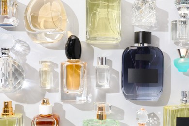 Photo of Bottles of various perfumes on light background, flat lay