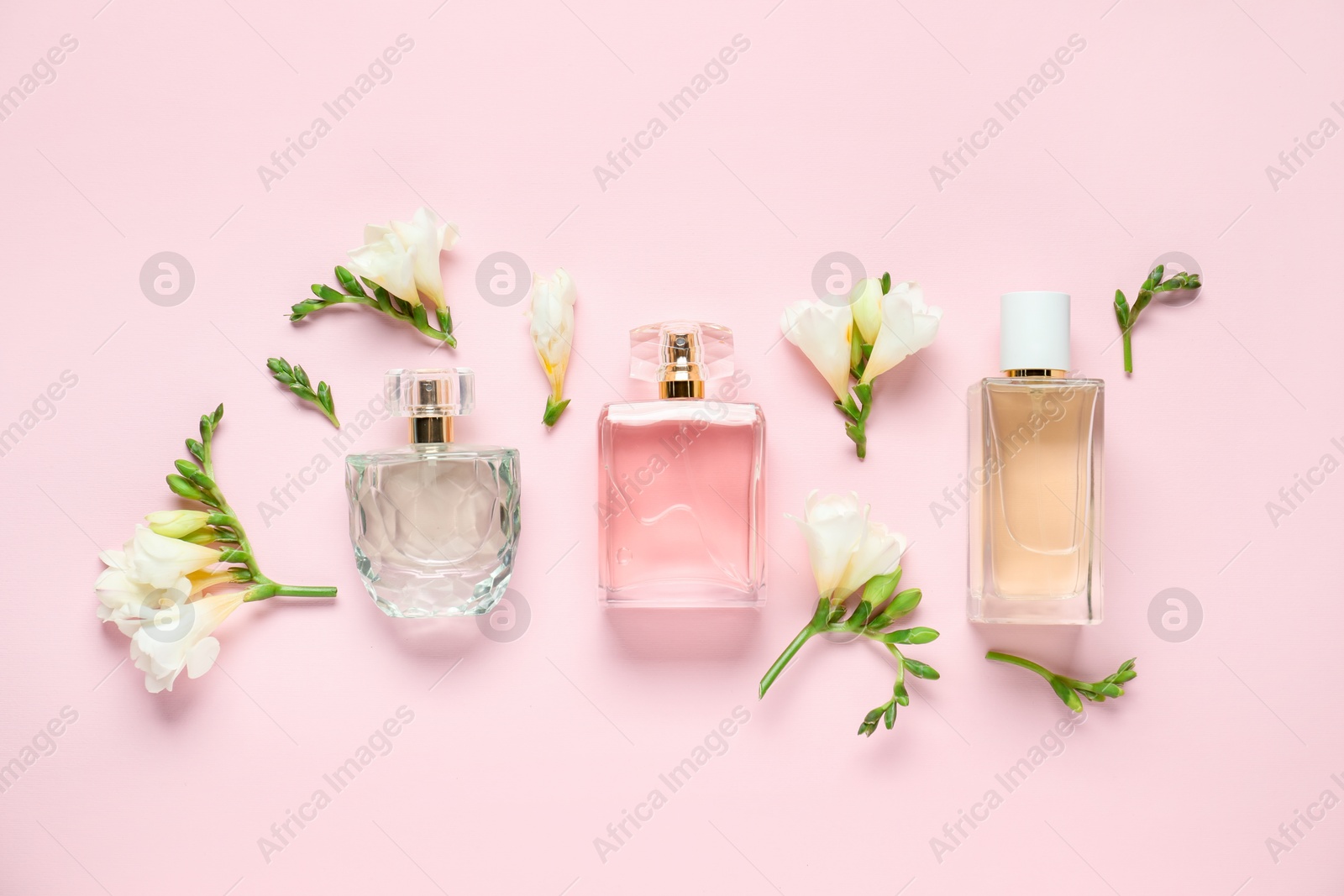 Bottles of perfume and beautiful flowers on pink background, flat lay Photo of Bottles of perfume and beautiful flowers on pink background, flat lay