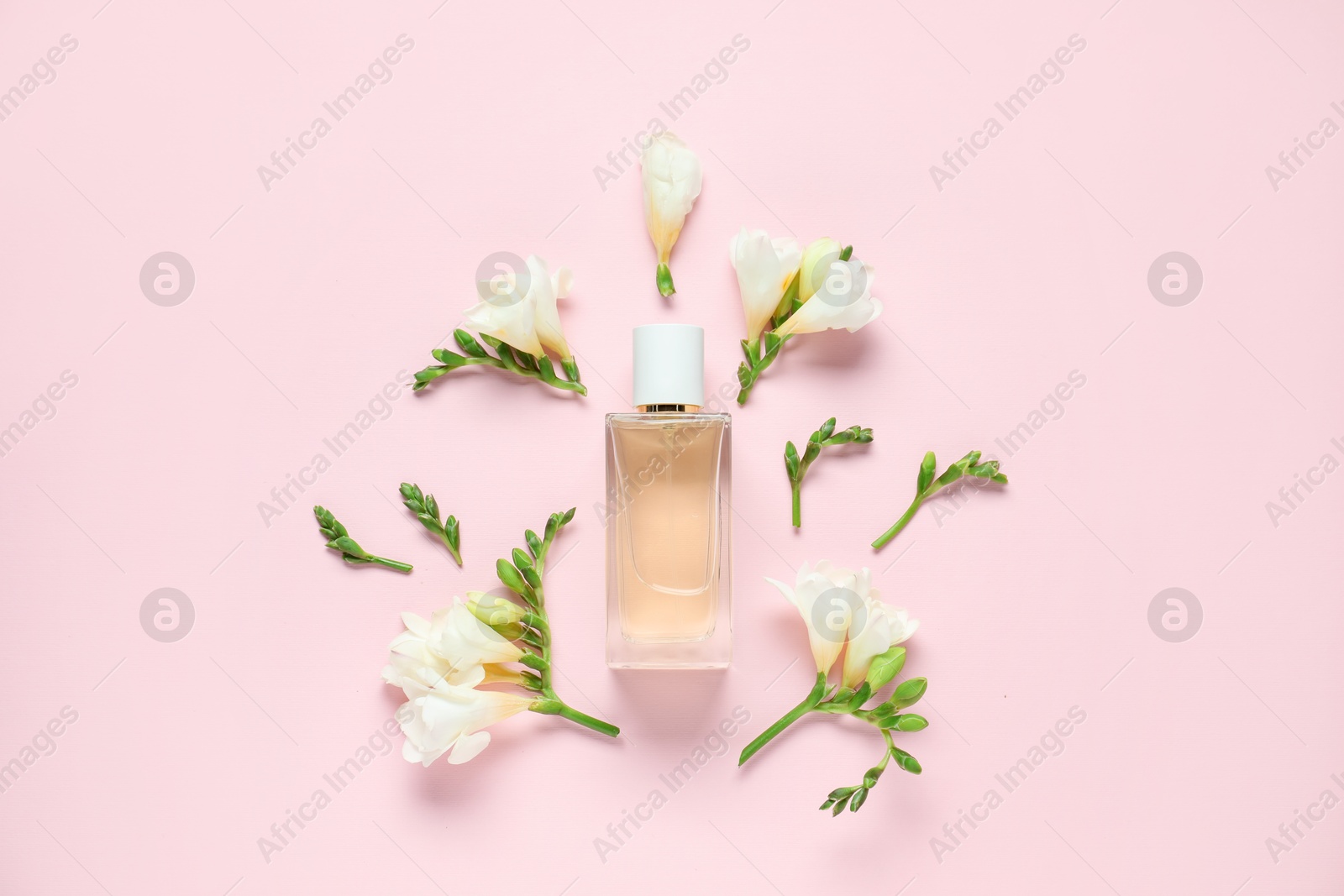 Bottles of perfume and beautiful flowers on pink background, flat lay Photo of Bottles of perfume and beautiful flowers on pink background, flat lay