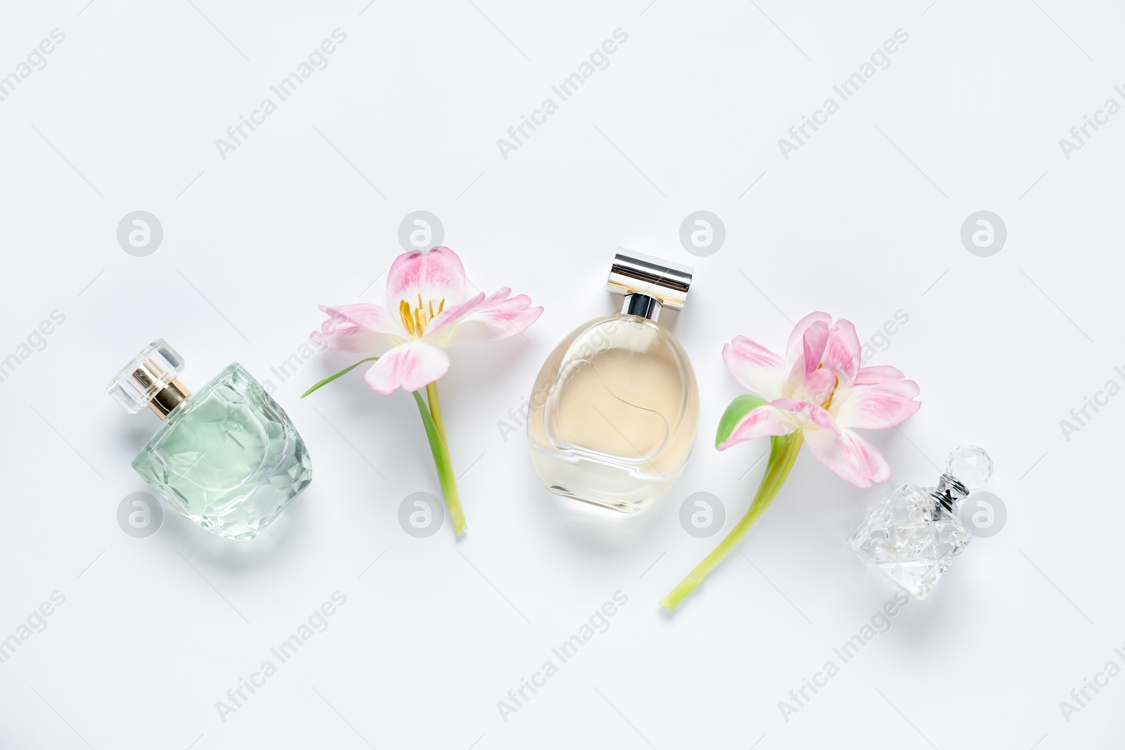 Bottles of perfume and beautiful flowers on white background, flat lay Photo of Bottles of perfume and beautiful flowers on white background, flat lay