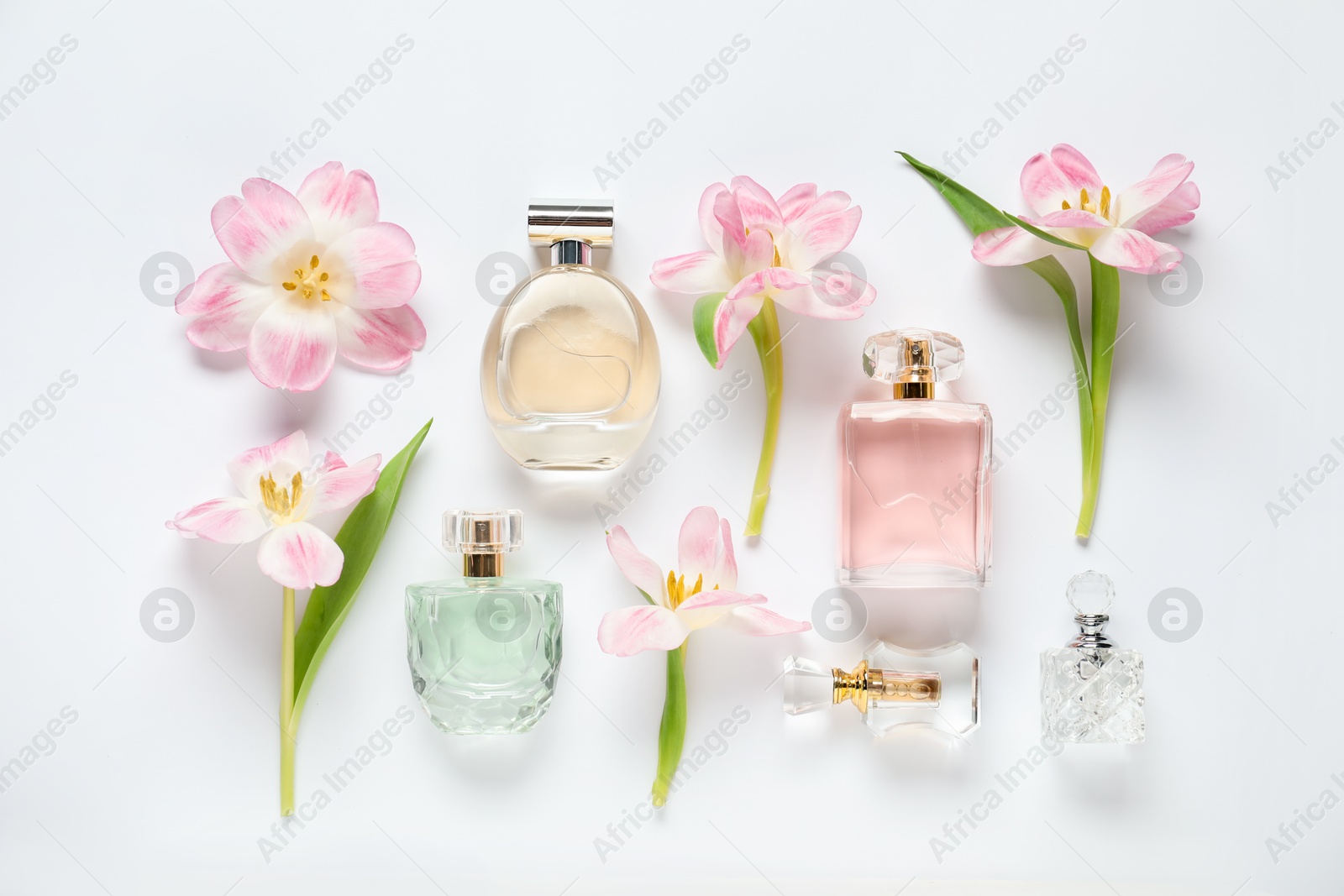Bottles of perfume and beautiful flowers on white background, flat lay Photo of Bottles of perfume and beautiful flowers on white background, flat lay