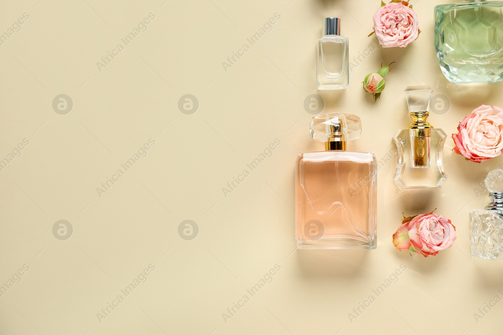 Bottles of perfume and beautiful flowers on beige background, flat lay. Space for text Photo of Bottles of perfume and beautiful flowers on beige background, flat lay. Space for text