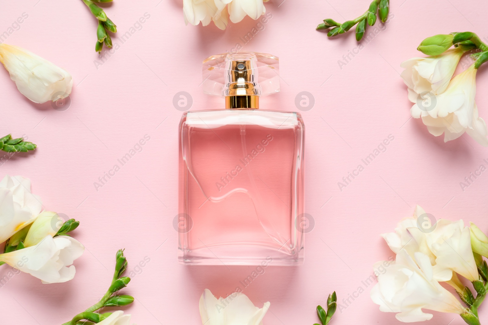 Bottle of perfume and beautiful flowers on pink background, flat lay Photo of Bottle of perfume and beautiful flowers on pink background, flat lay