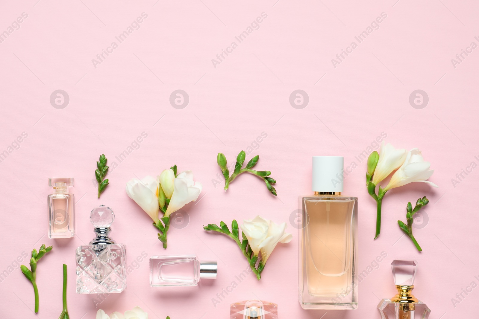 Bottles of perfume and beautiful flowers on pink background, flat lay. Space for text Photo of Bottles of perfume and beautiful flowers on pink background, flat lay. Space for text
