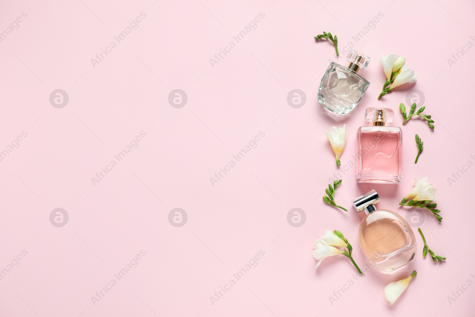 Bottles of perfume and beautiful flowers on pink background, flat lay. Space for text Photo of Bottles of perfume and beautiful flowers on pink background, flat lay. Space for text