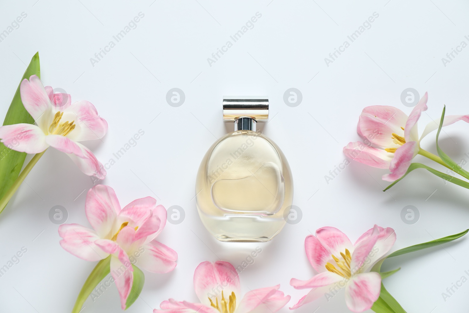 Bottle of perfume and beautiful flowers on white background, flat lay Photo of Bottle of perfume and beautiful flowers on white background, flat lay