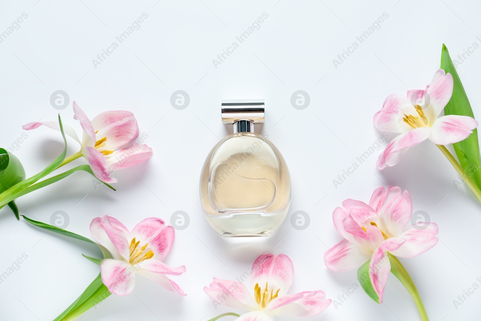 Bottle of perfume and beautiful flowers on white background, flat lay Photo of Bottle of perfume and beautiful flowers on white background, flat lay
