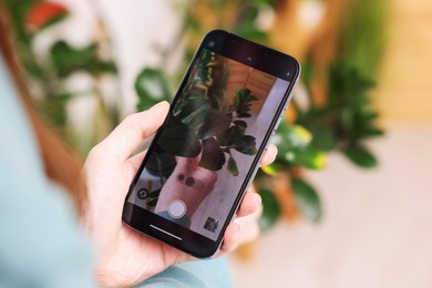 Photo of Woman using houseplant recognition application on smartphone indoors, closeup