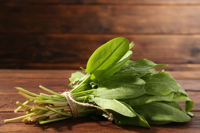 Photo of Bunch of fresh green sorrel leaves on wooden table, closeup