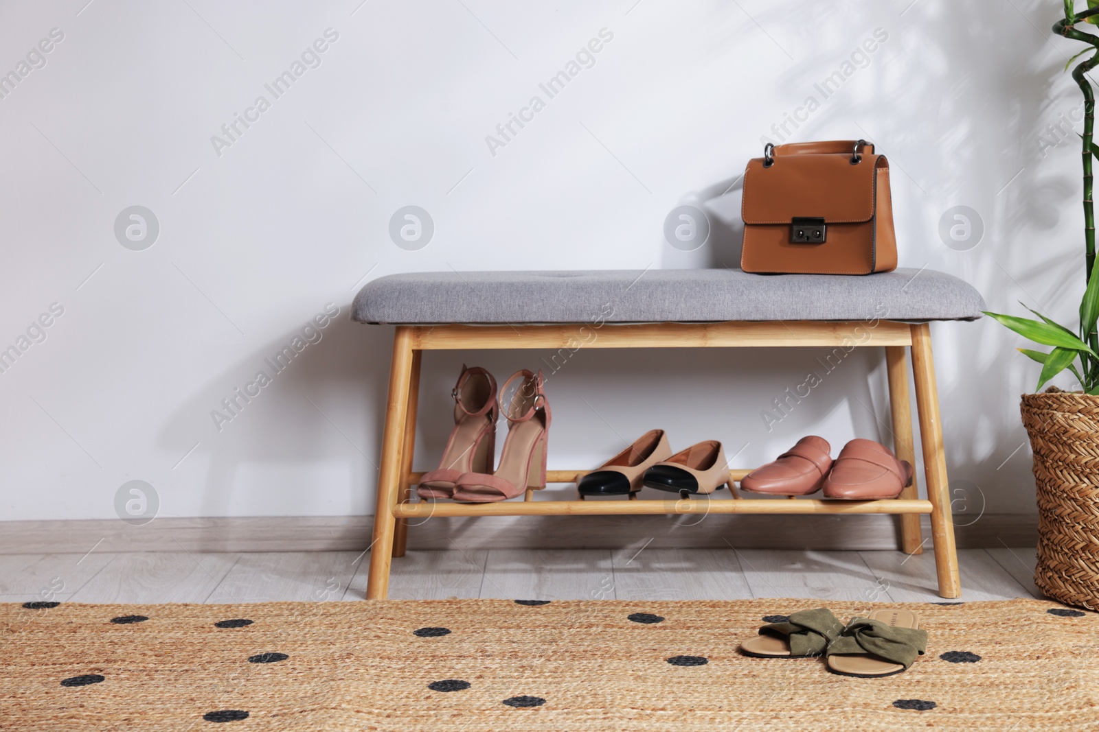 Stand with different stylish shoes, bag and houseplant indoors. Space for text Photo of Stand with different stylish shoes, bag and houseplant indoors. Space for text