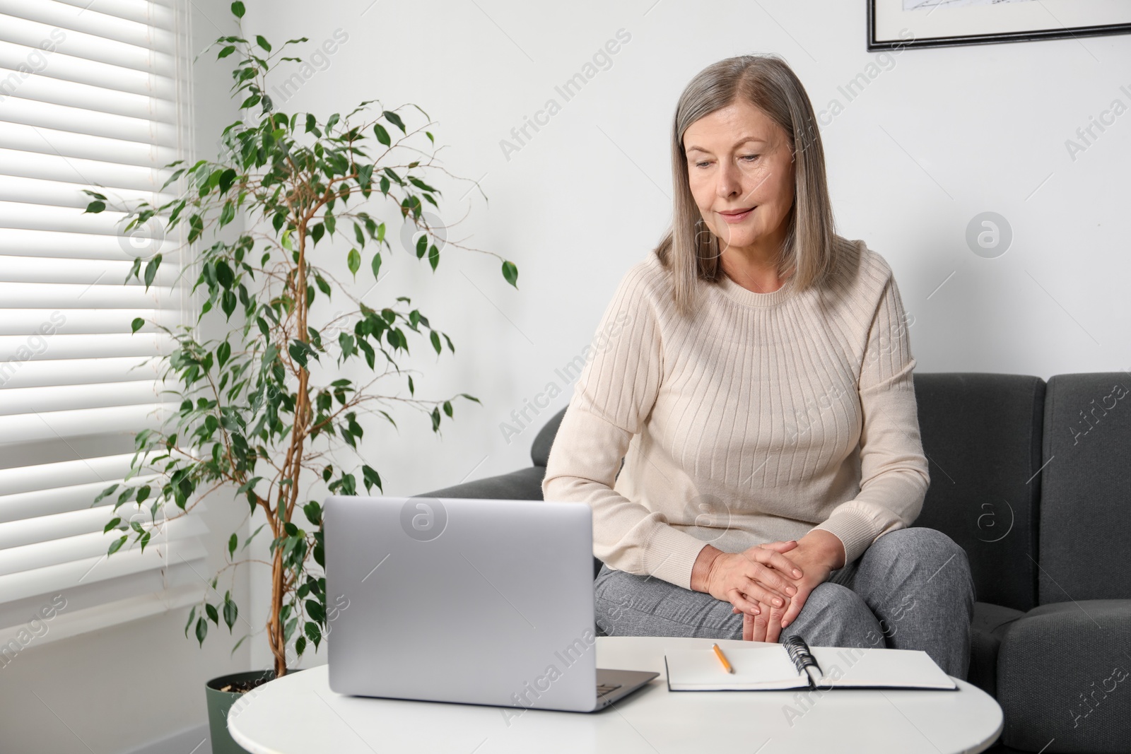 Photo of Woman learning online using laptop at table indoors. Self-study