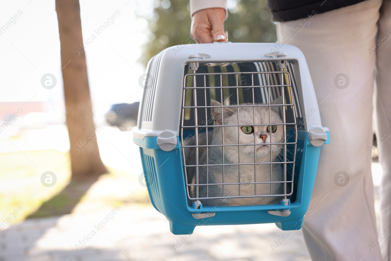 Photo of Woman holding cute cat in pet carrier outdoors, closeup. Space for text