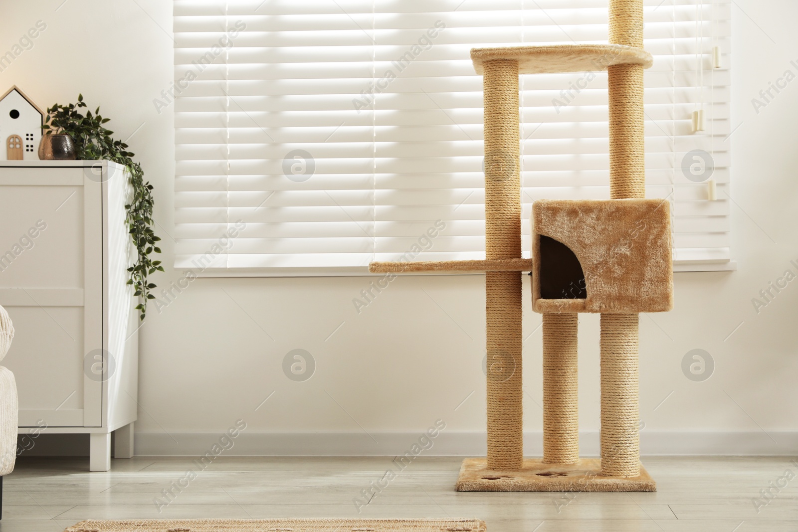 Stylish cat tree and chest of drawers in living room Photo of Stylish cat tree and chest of drawers in living room