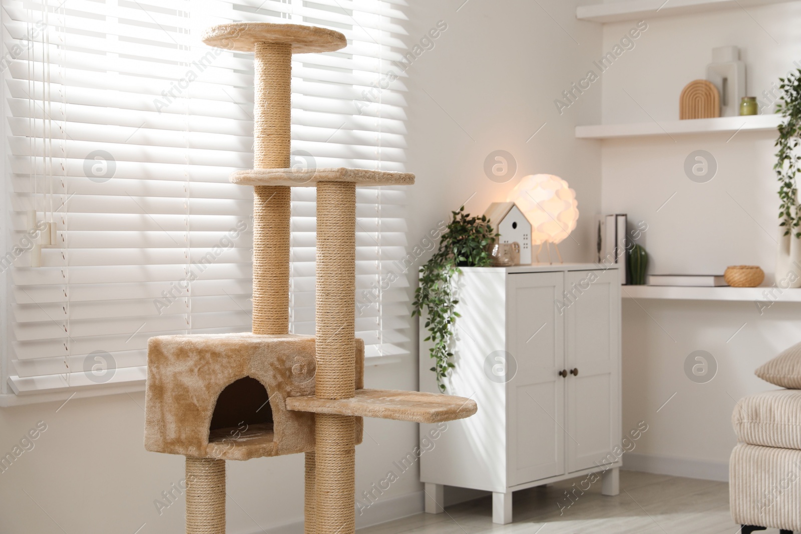 Stylish cat tree and chest of drawers in living room Photo of Stylish cat tree and chest of drawers in living room