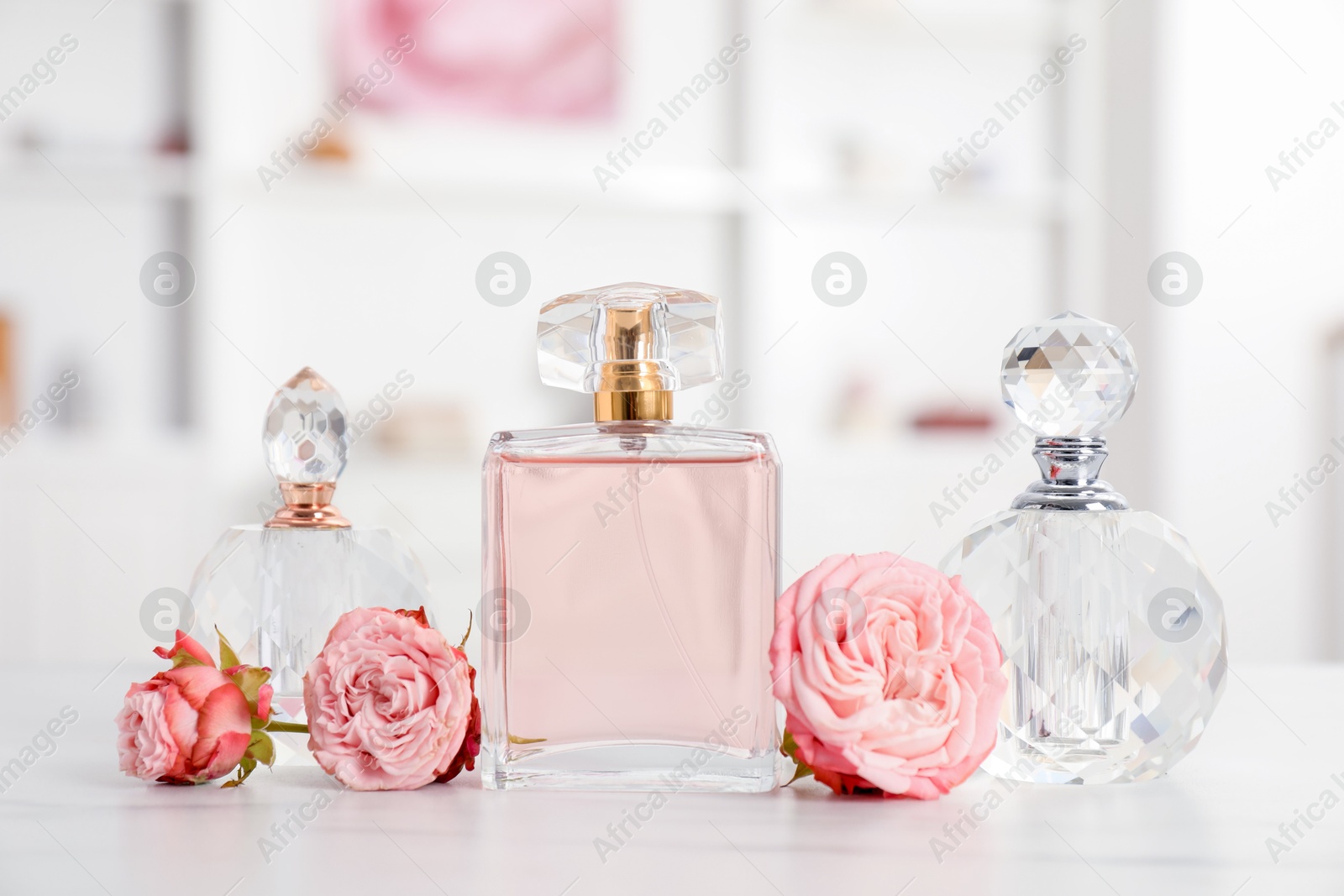 Bottles of perfume and beautiful flowers on white table Photo of Bottles of perfume and beautiful flowers on white table
