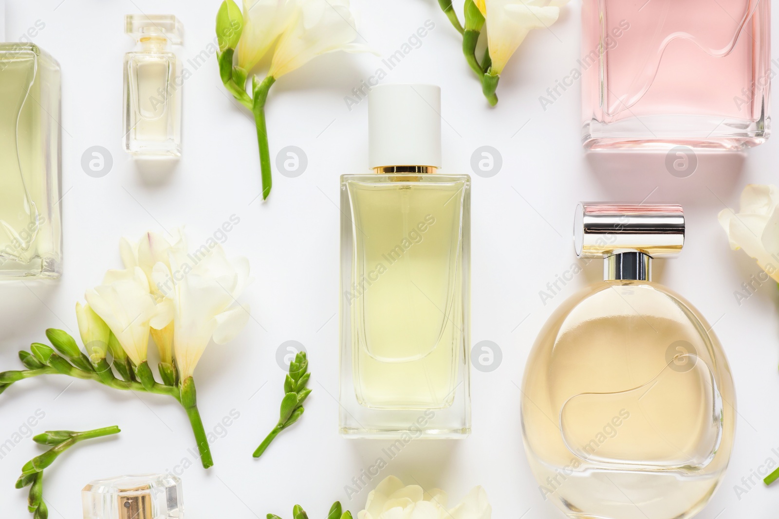Bottles of perfume and beautiful flowers on white background, flat lay Photo of Bottles of perfume and beautiful flowers on white background, flat lay