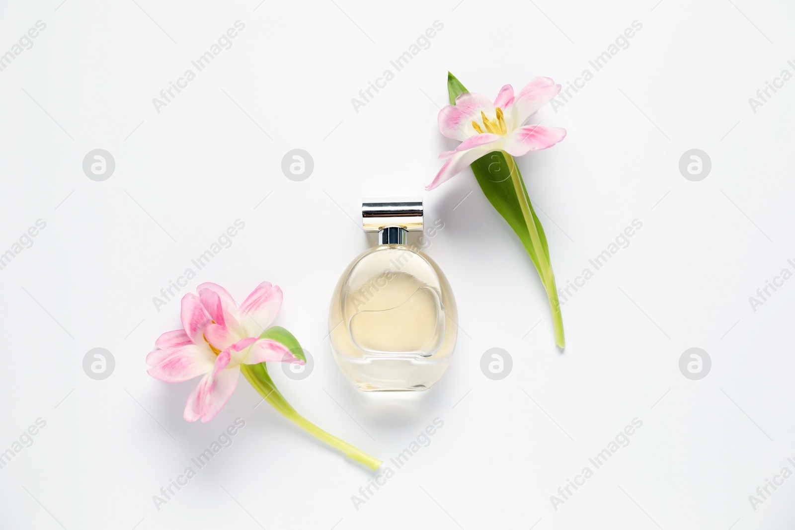 Bottle of perfume and beautiful flowers on white background, flat lay Photo of Bottle of perfume and beautiful flowers on white background, flat lay
