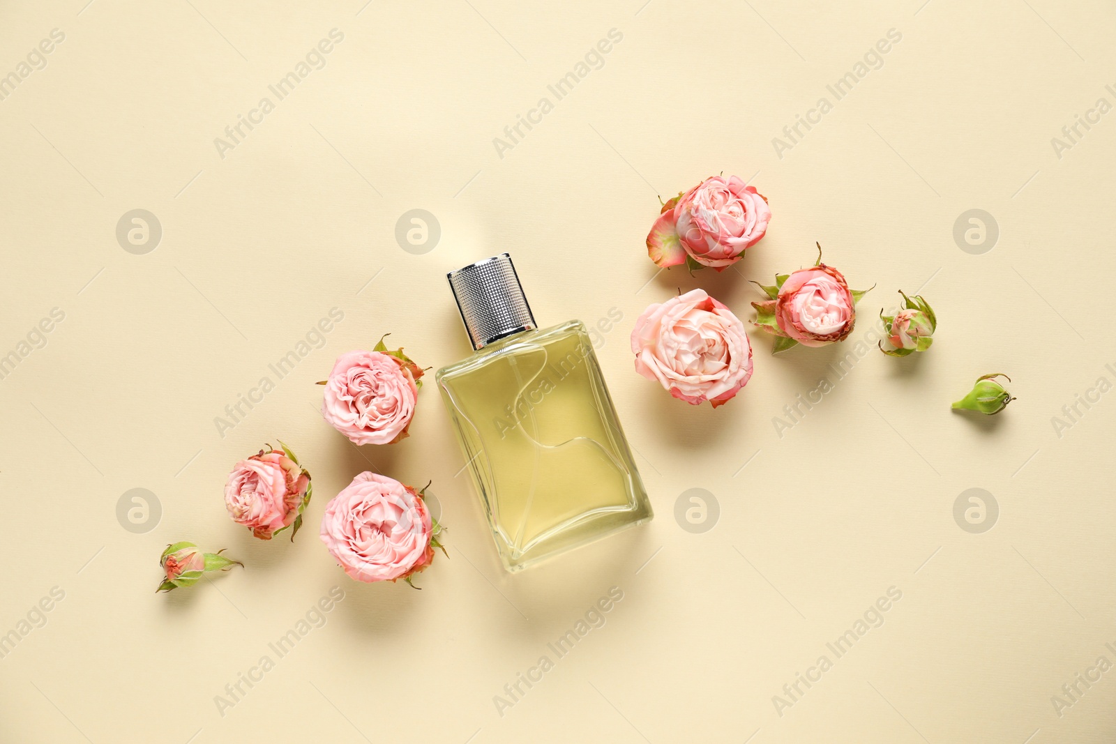 Bottle of perfume and beautiful flowers on beige background, flat lay Photo of Bottle of perfume and beautiful flowers on beige background, flat lay