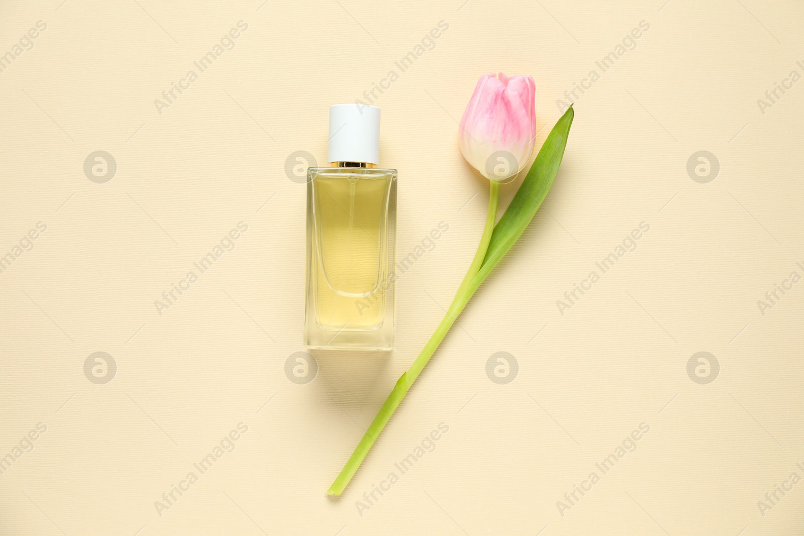 Bottle of perfume and beautiful flower on beige background, flat lay Photo of Bottle of perfume and beautiful flower on beige background, flat lay
