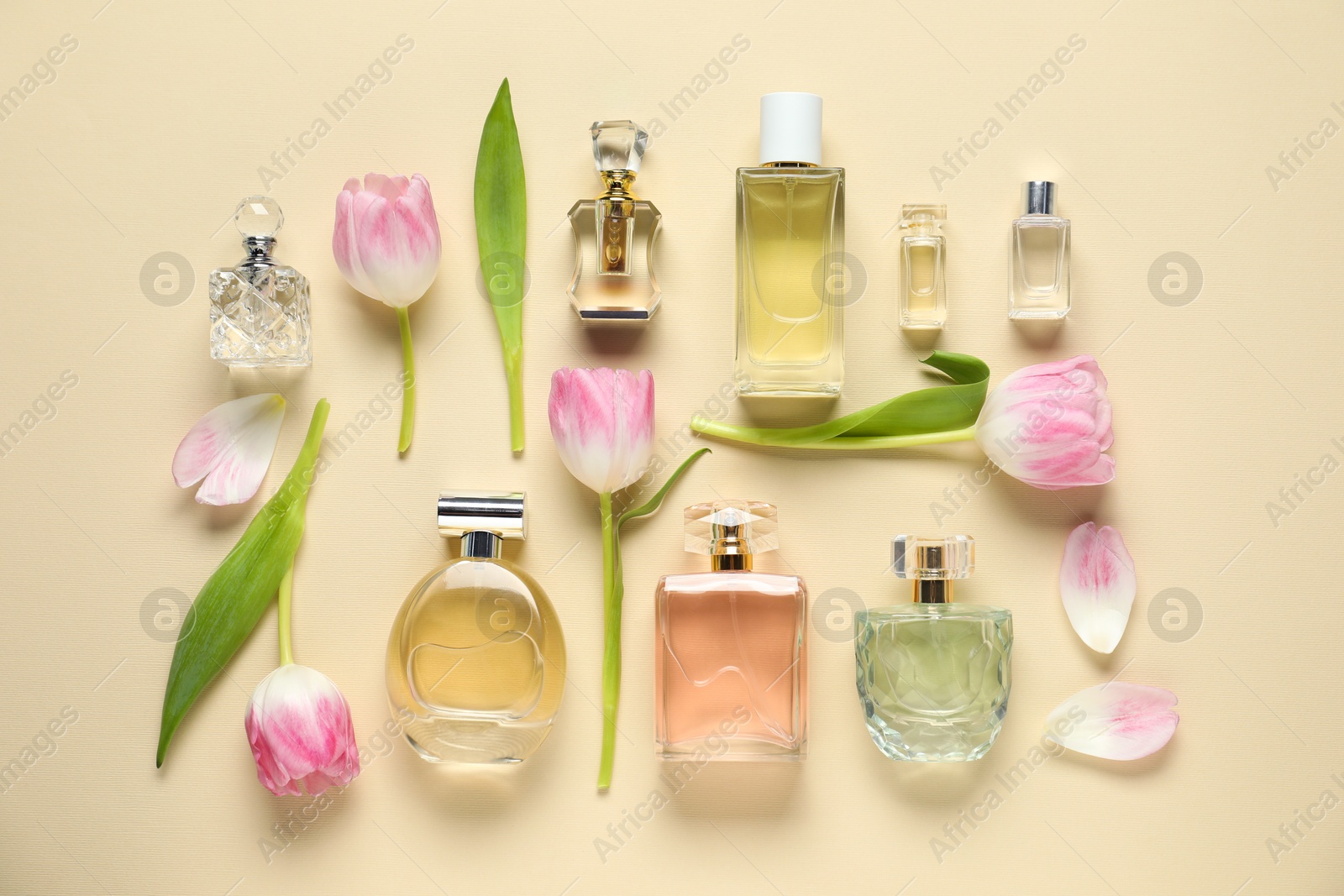 Bottles of perfume and beautiful flowers on beige background, flat lay Photo of Bottles of perfume and beautiful flowers on beige background, flat lay