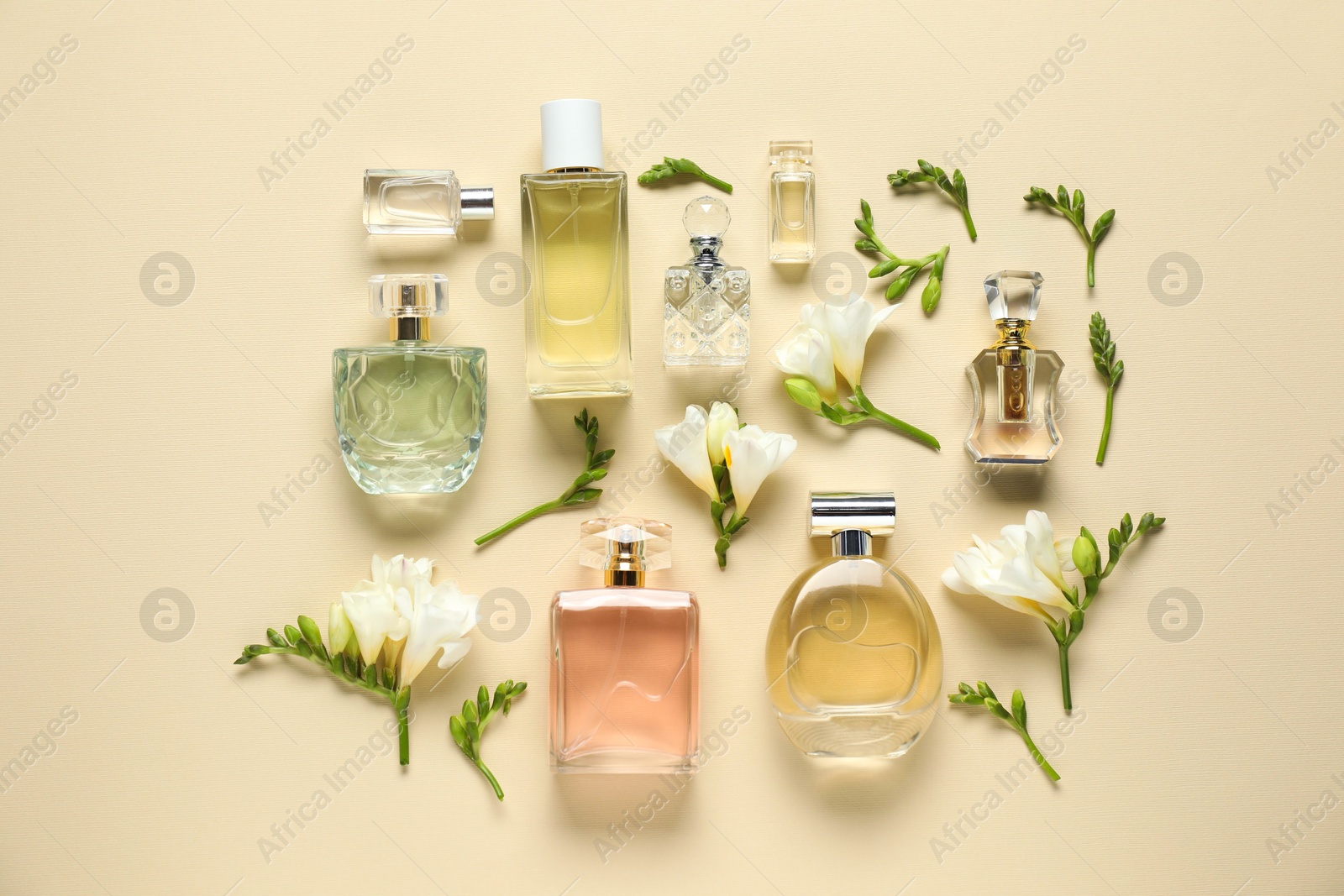 Bottles of perfume and beautiful flowers on beige background, flat lay Photo of Bottles of perfume and beautiful flowers on beige background, flat lay