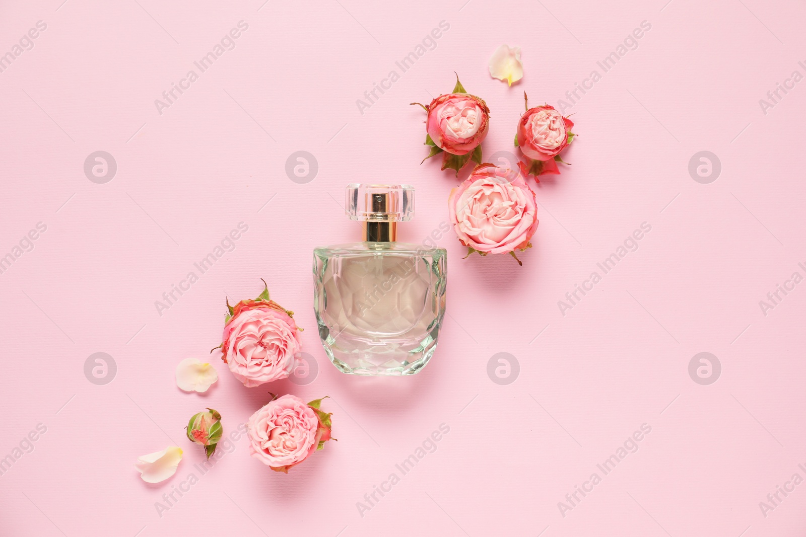 Bottle of perfume and beautiful flowers on pink background, flat lay Photo of Bottle of perfume and beautiful flowers on pink background, flat lay