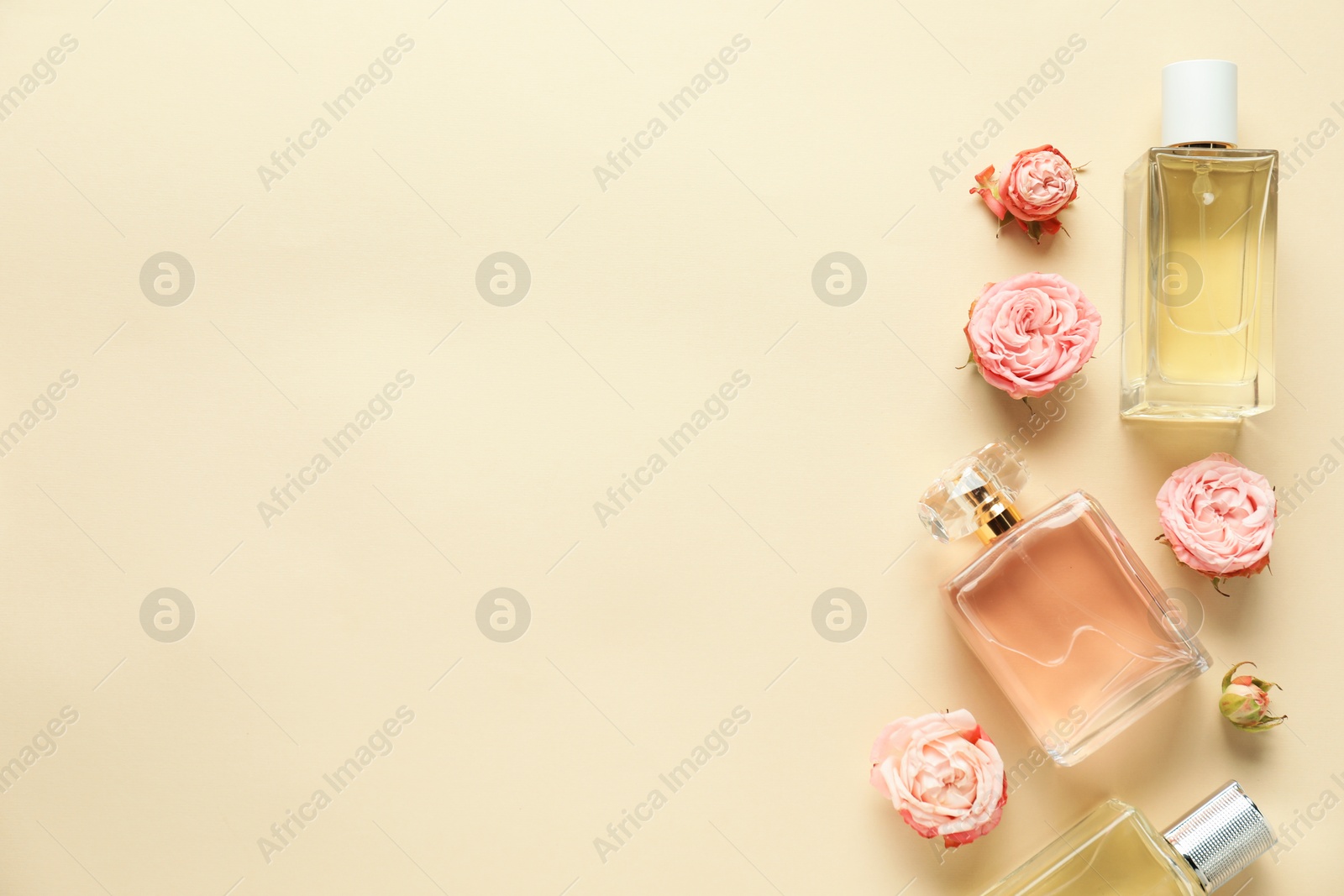 Bottles of perfume and beautiful flowers on beige background, flat lay. Space for text Photo of Bottles of perfume and beautiful flowers on beige background, flat lay. Space for text