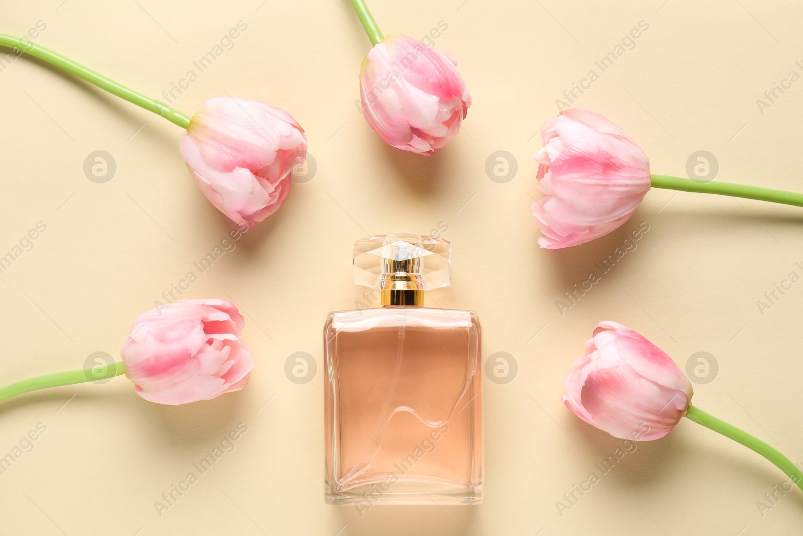 Bottle of perfume and beautiful flowers on beige background, flat lay Photo of Bottle of perfume and beautiful flowers on beige background, flat lay