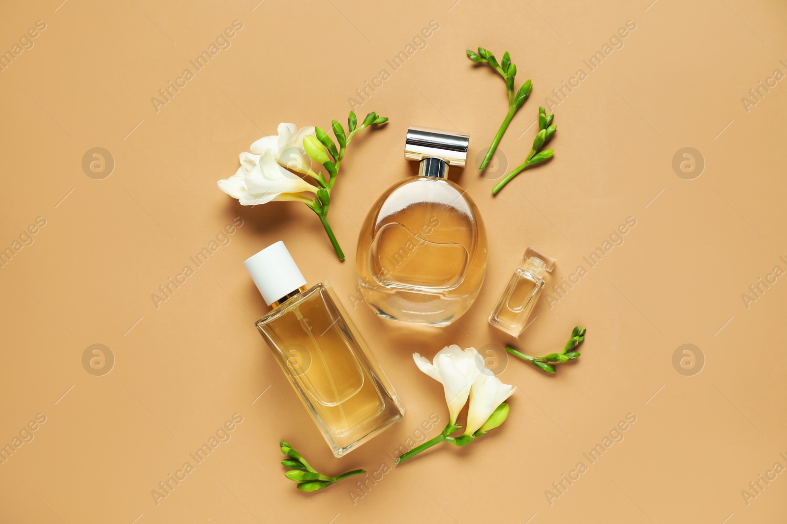 Flat lay composition with bottles of aromatic perfume and beautiful flowers on beige background Photo of Flat lay composition with bottles of aromatic perfume and beautiful flowers on beige background