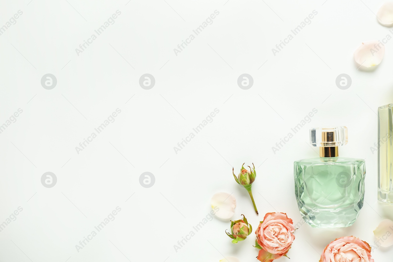 Bottles of aromatic perfume and beautiful flowers on white background, flat lay. Space for text Photo of Bottles of aromatic perfume and beautiful flowers on white background, flat lay. Space for text