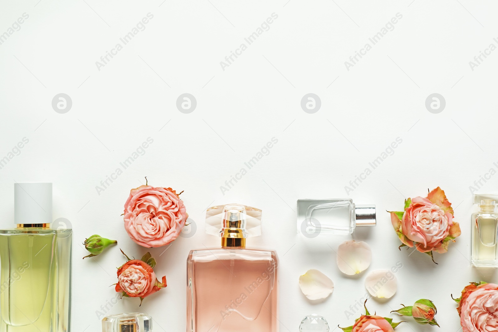 Bottles of aromatic perfume and beautiful flowers on white background, flat lay. Space for text Photo of Bottles of aromatic perfume and beautiful flowers on white background, flat lay. Space for text