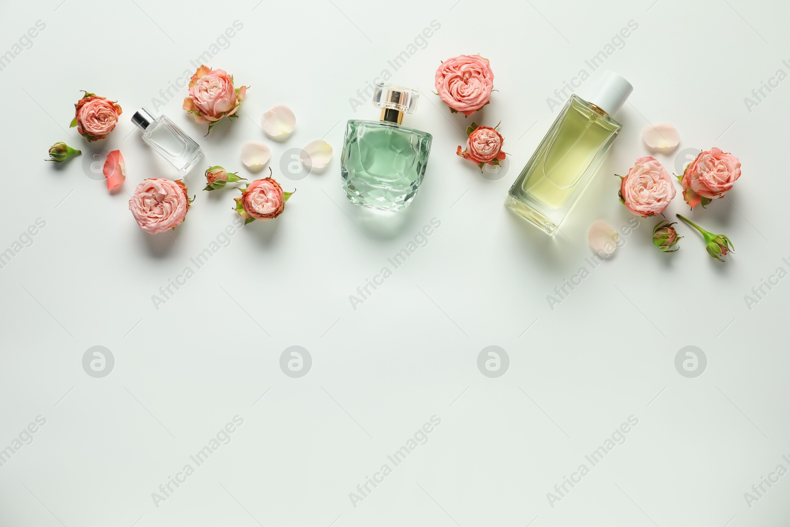 Bottles of aromatic perfume and beautiful flowers on white background, flat lay. Space for text Photo of Bottles of aromatic perfume and beautiful flowers on white background, flat lay. Space for text