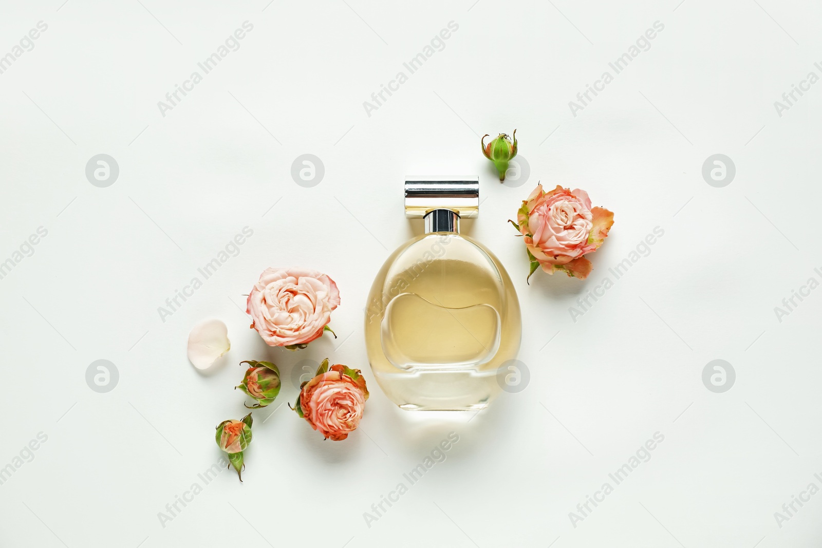 Bottle of aromatic perfume and beautiful flowers on white background, flat lay Photo of Bottle of aromatic perfume and beautiful flowers on white background, flat lay