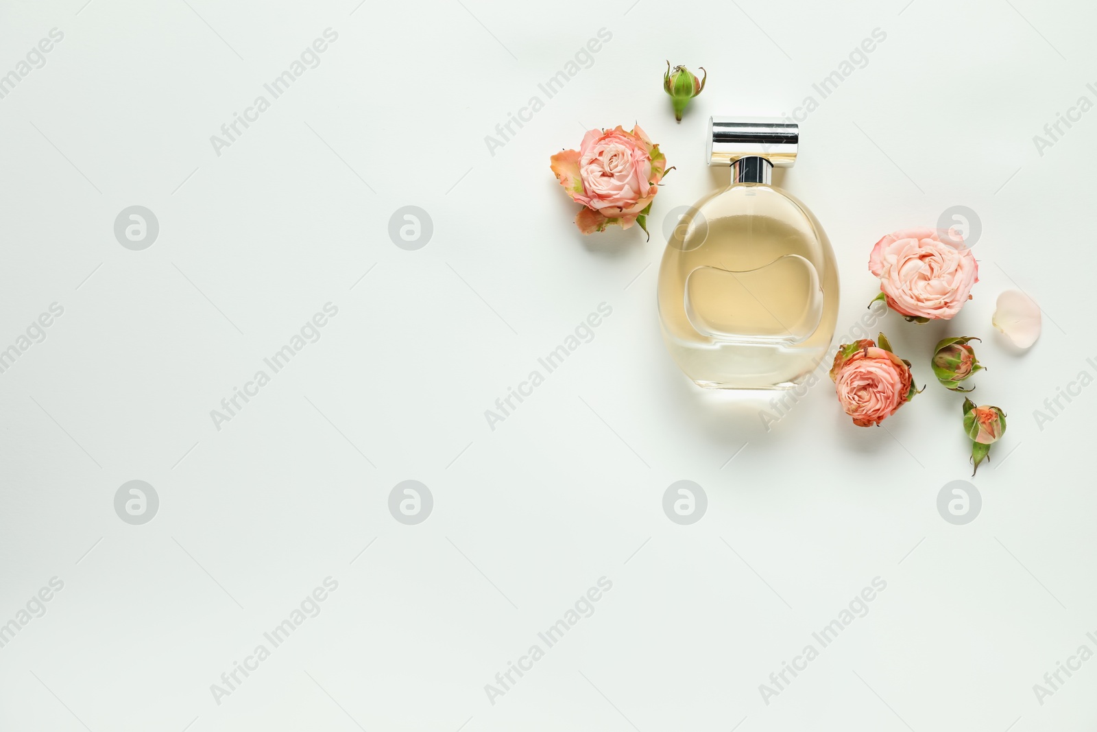 Bottle of aromatic perfume and beautiful flowers on white background, flat lay. Space for text Photo of Bottle of aromatic perfume and beautiful flowers on white background, flat lay. Space for text