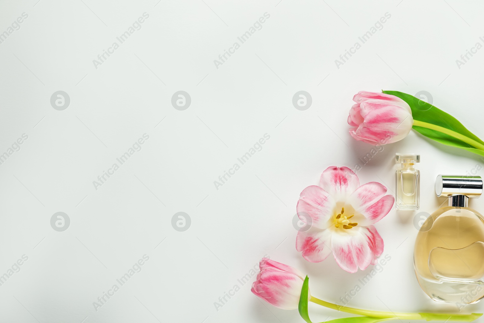 Bottles of aromatic perfume and beautiful flowers on white background, flat lay. Space for text Photo of Bottles of aromatic perfume and beautiful flowers on white background, flat lay. Space for text