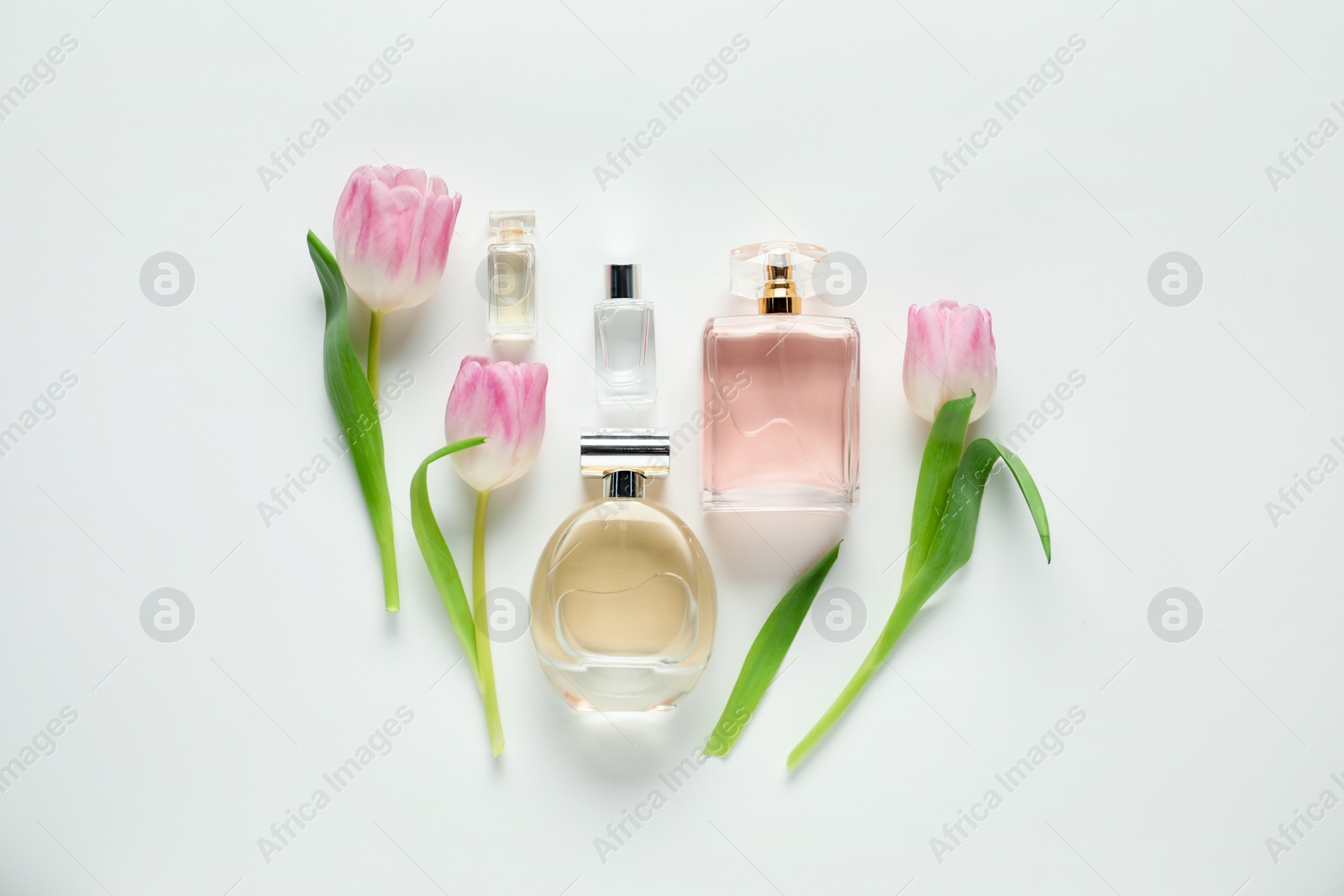 Bottles of aromatic perfume and beautiful flowers on white background, flat lay Photo of Bottles of aromatic perfume and beautiful flowers on white background, flat lay
