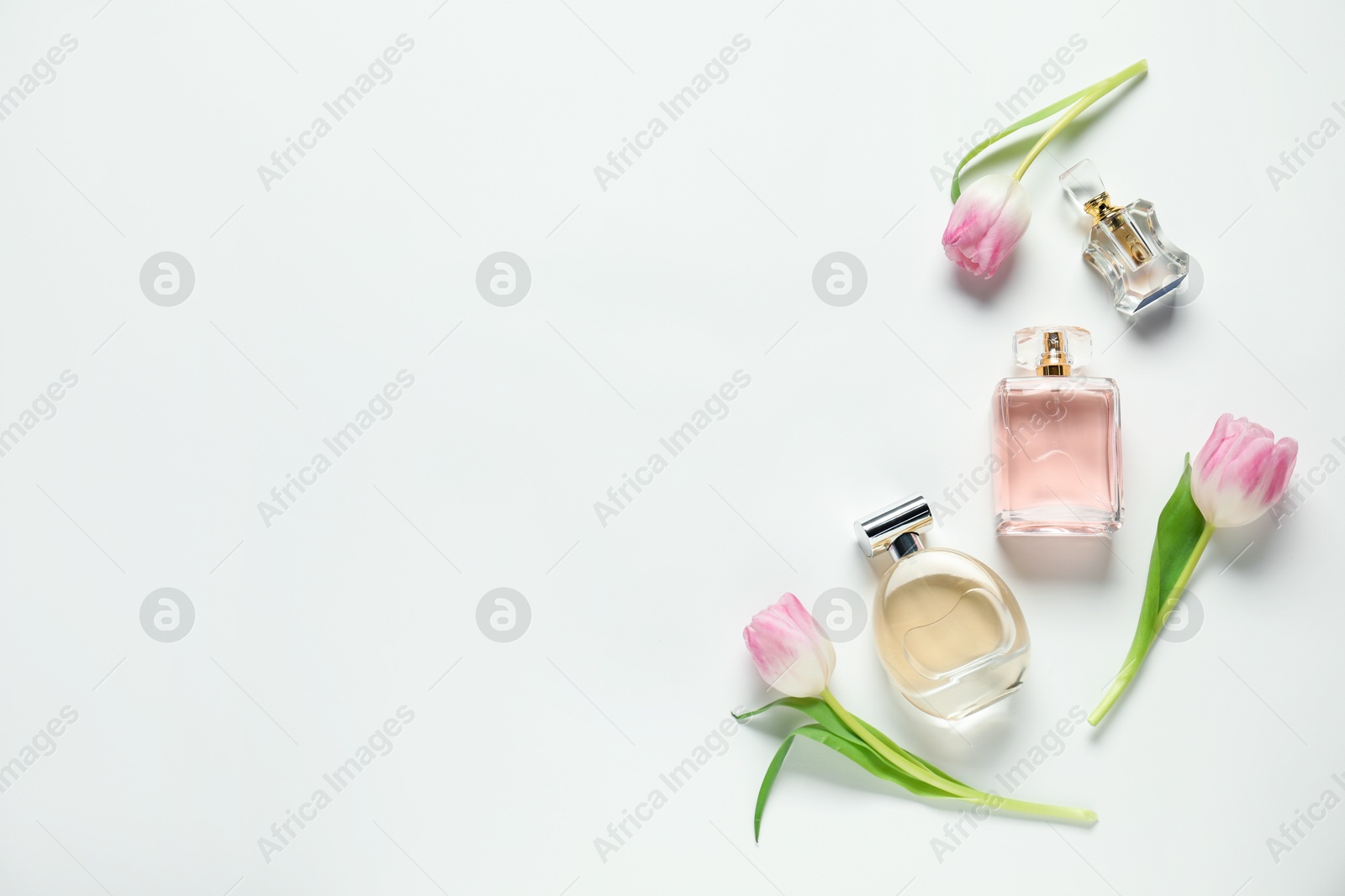 Bottles of aromatic perfume and beautiful flowers on white background, flat lay. Space for text Photo of Bottles of aromatic perfume and beautiful flowers on white background, flat lay. Space for text