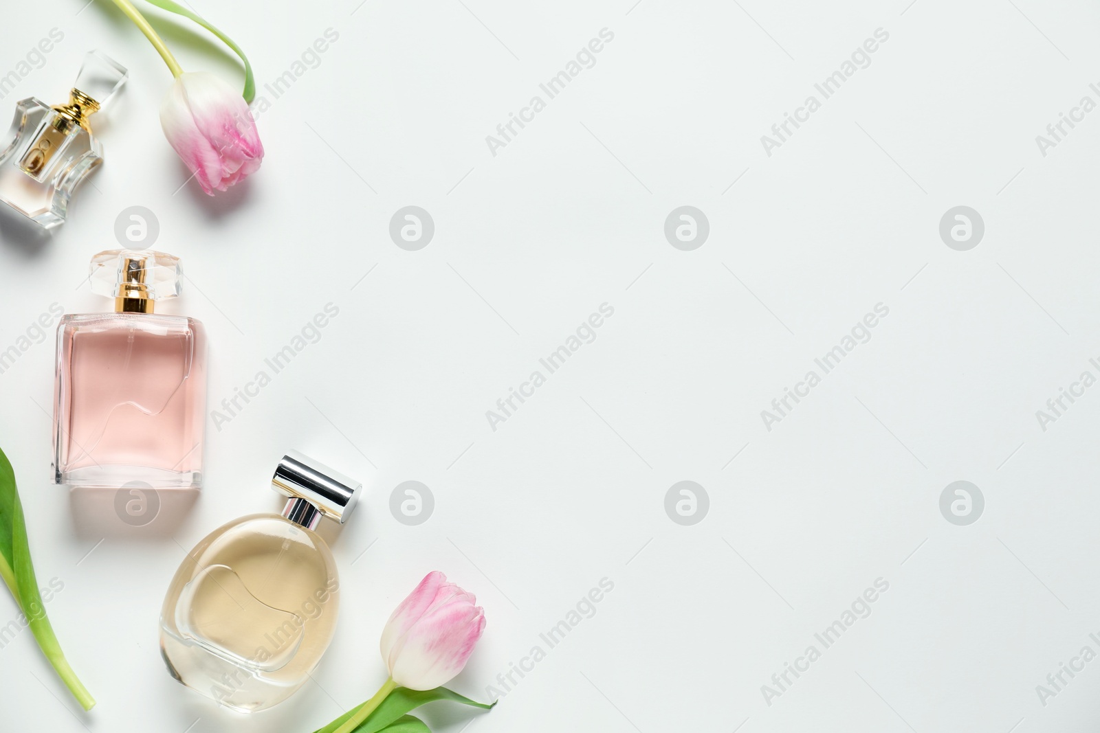 Bottles of aromatic perfume and beautiful flowers on white background, flat lay. Space for text Photo of Bottles of aromatic perfume and beautiful flowers on white background, flat lay. Space for text
