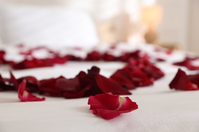 Photo of Heart made with rose petals on bed indoors, closeup