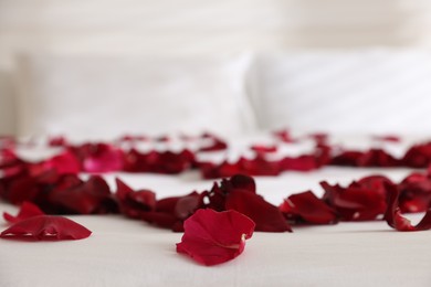 Photo of Heart made with rose petals on bed indoors, closeup