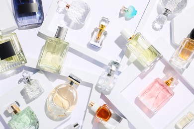 Photo of Different luxury perfumes on white background, flat lay