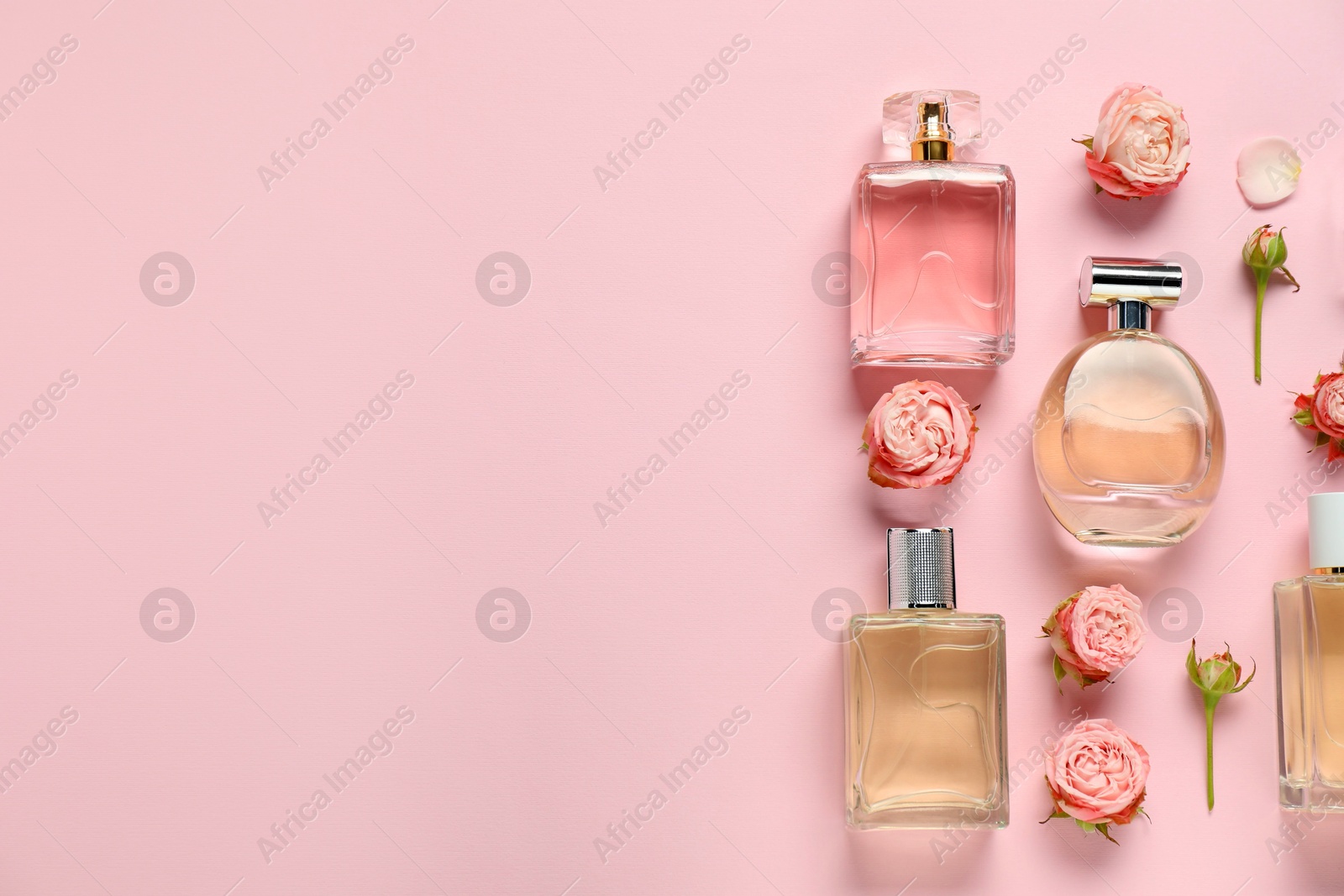 Bottles of perfume and beautiful flowers on pink background, flat lay. Space for text Photo of Bottles of perfume and beautiful flowers on pink background, flat lay. Space for text