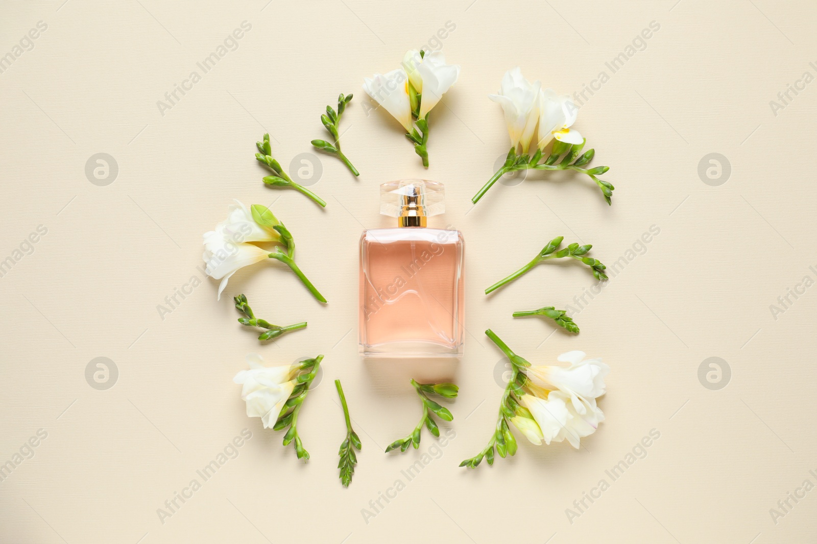 Bottle of perfume and beautiful flowers on beige background, flat lay Photo of Bottle of perfume and beautiful flowers on beige background, flat lay