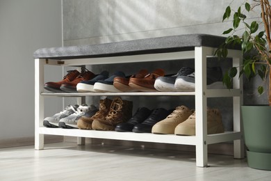 Photo of Shoe storage bench with different footwear and houseplant indoors