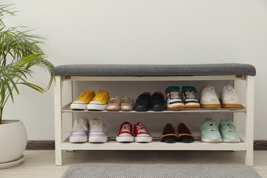 Photo of Shoe storage bench with different footwear and houseplant indoors
