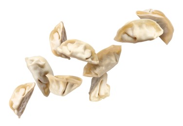 Image of Uncooked gyoza in air on white background